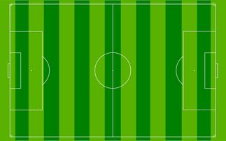 米兰全站APP下载-中超联赛定位球套路打法分布可视图，2021赛季中超比赛用球